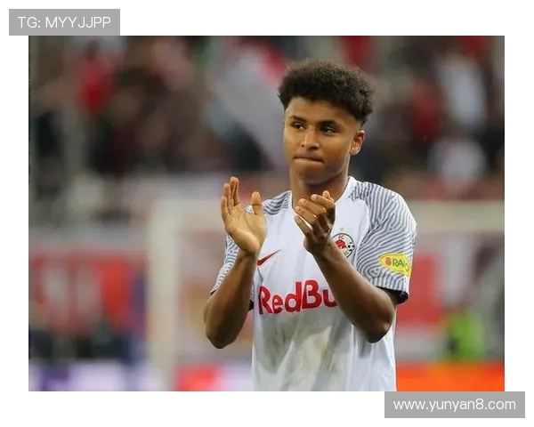 德媒揭示阿德耶米神秘盒子真相并非误购武器背后故事